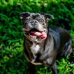 pexels-alfomedeiros-11583510-min