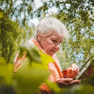 pexels-paultheodoroja-2769001-min